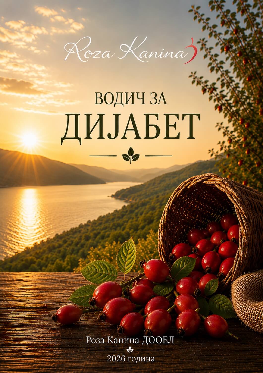 Водич за дијабетес – страница 1