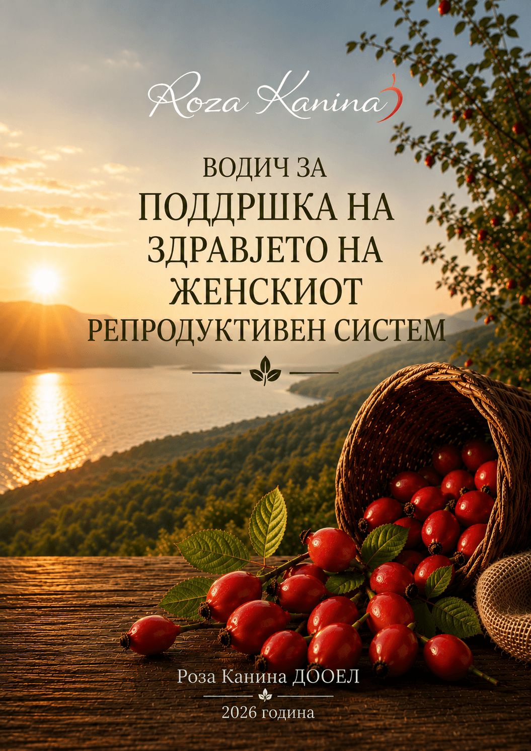 Корица на Водичот за поддршка на здравјето на женскиот репродуктивен систем